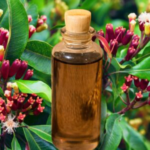 Essential Leafe Clove Oil 1.000 Kg